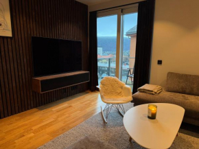 Bright and charming apartment in the city center